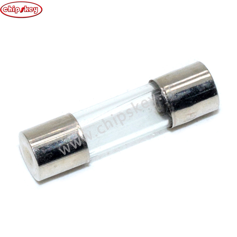 5*20 250V 0.25A Fuse