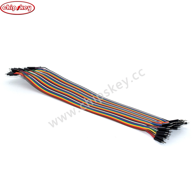 30CM Rainbow Cable 40P Male to Male