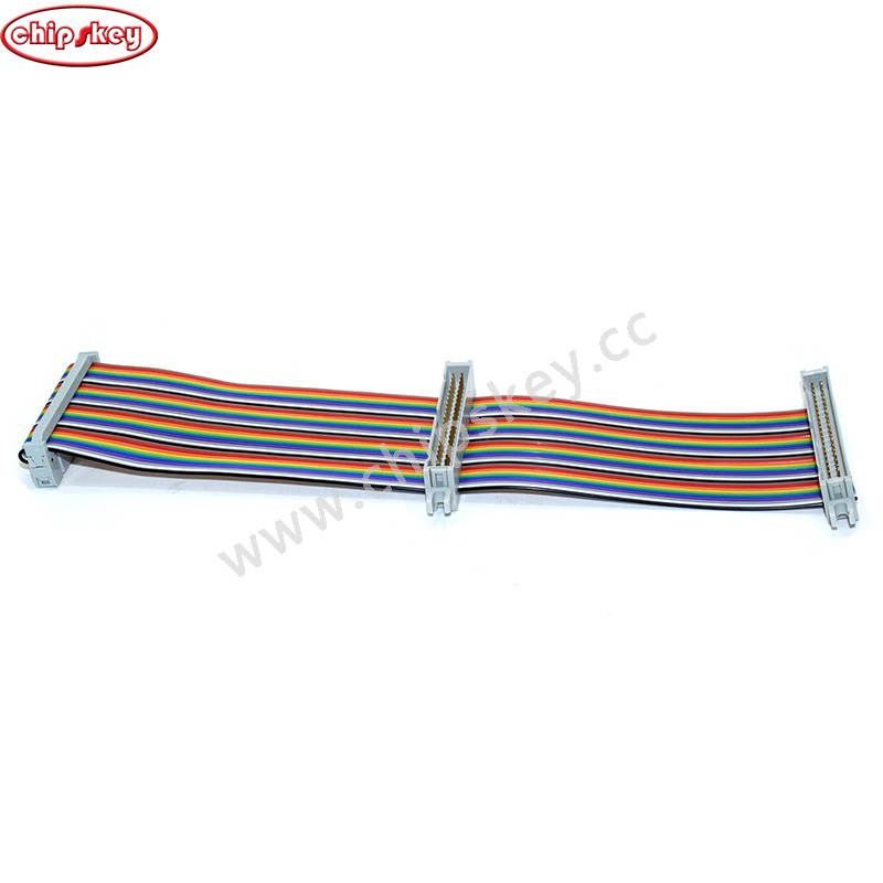 40P color wire cable with 1 female and 2 male header