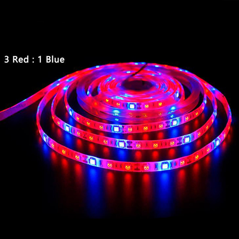 3red 1blue IP65 60LEDS/M IP65 Waterproof / Grow Light Phytolamp Full Spectrum 5M 300 LEDs 5050 SMD LED Strip for Plants Seeds Growing Greenhouse Indoor Hydroponic