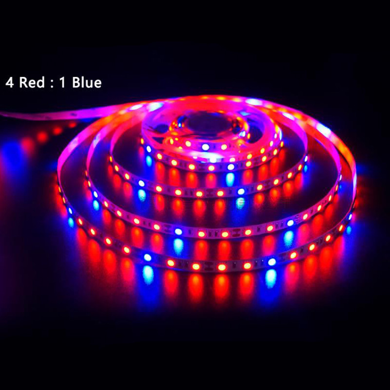 4red 1blue IP65 60LEDS/M IP65 Waterproof / Grow Light Phytolamp Full Spectrum 5M 300 LEDs 5050 SMD LED Strip for Plants Seeds Growing Greenhouse Indoor Hydroponic