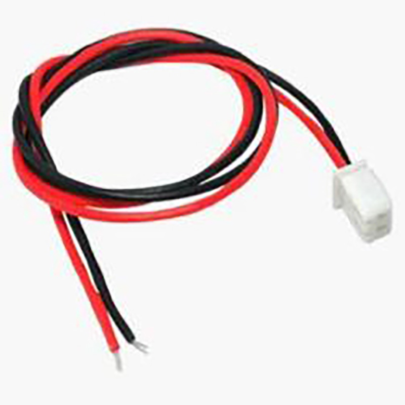 10CM XH2.54mm 2P Cable