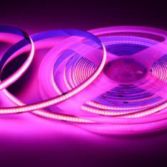 12V-COB-480 480LESs/M 5M/Reel Pink